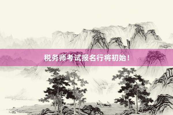 税务师考试报名行将初始！