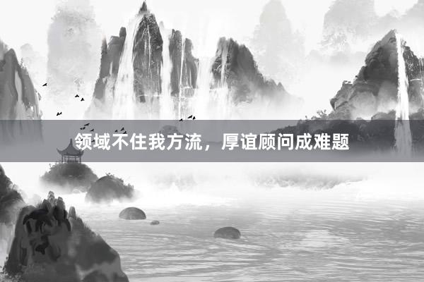领域不住我方流，厚谊顾问成难题
