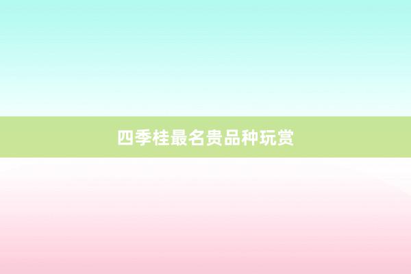 四季桂最名贵品种玩赏